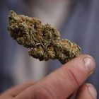 031810pot.jpg