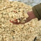 032410woodchip_2.jpg