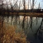 0519canal.jpg