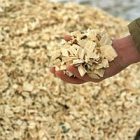 0616biomass.jpg