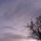 2008-dec03-crescentmoon01.jpg