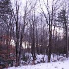 2008-dec2-earlyam5Bsmall5D.jpg
