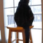 2008-dec21-snowcat02.jpg