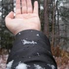 2008-nov10-catching_flakes_5Bsmall5D.jpg