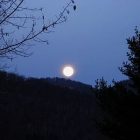 2008-nov13am-fullmoon_015Bsm5D.jpg