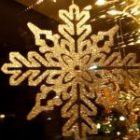 2008_dec31_lights04_sm_2.jpg