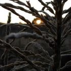2008_oct12_sunrise_richmondcornfield01_sm.jpg
