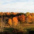 2008_sept_oct_cw_009_sm.jpg