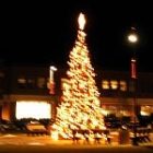 2009_dec15_xmastree.jpg