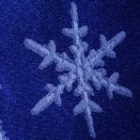 2009_dec19_snowflake.jpg