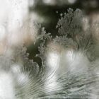 2010_jan08_window_frost05_sq.jpg