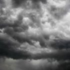 2011_may26_richmond_photo_by_cw.jpg