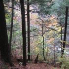 4155294817_c4e4452584_2.jpg
