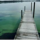 algae0601_300.jpg