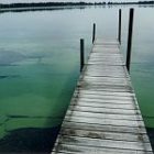 algae_2.jpg