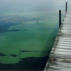 algae_blooms_ap_file_photo.jpg