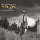 allegro_300.jpg
