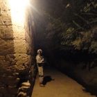 alley.jpg