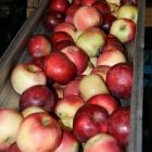 apples300.jpg