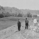 arthur_rothstein-windsor_county-cutting_hay_300.jpg