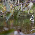 batten_kill_toby_ap061019021460.jpg