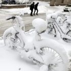 bikes_3.jpg