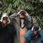 bird_count_cms.jpg