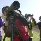 birders.jpg