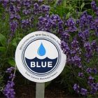 blue_sign_340x255.jpg