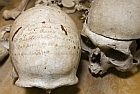 bones140.jpg