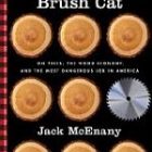 brushcat_150.jpg