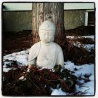 buddha.jpg