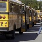 bus_2.jpg