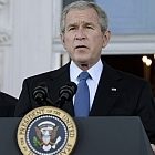 bush140.jpg