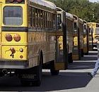 busses200.jpg