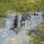 canal_300.jpg