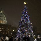capitol_tree.jpg