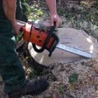 chainsaw.jpg