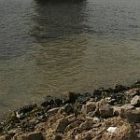 champlain_water_2.jpg
