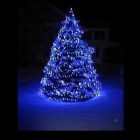 christmastree2.jpg