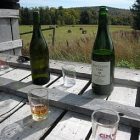 cider_340x255.jpg