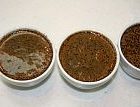 coffee160.jpg