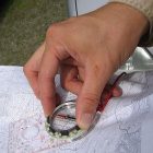 compass_600_2.jpg