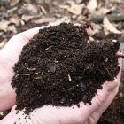compost_300.jpg