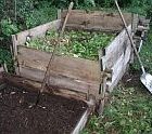 compostpile.jpg