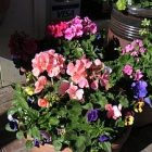 container060409_300.jpg