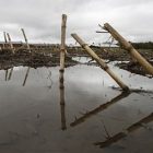 corn_field_is_flooded_with_water_at_the_fairmont_farm_east_montpelier_051911_toby_ap110519036773.jpg