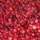 cranberries_300.jpg