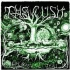 cush_150.jpg