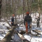 cutting_timbers_for_the_store.jpg